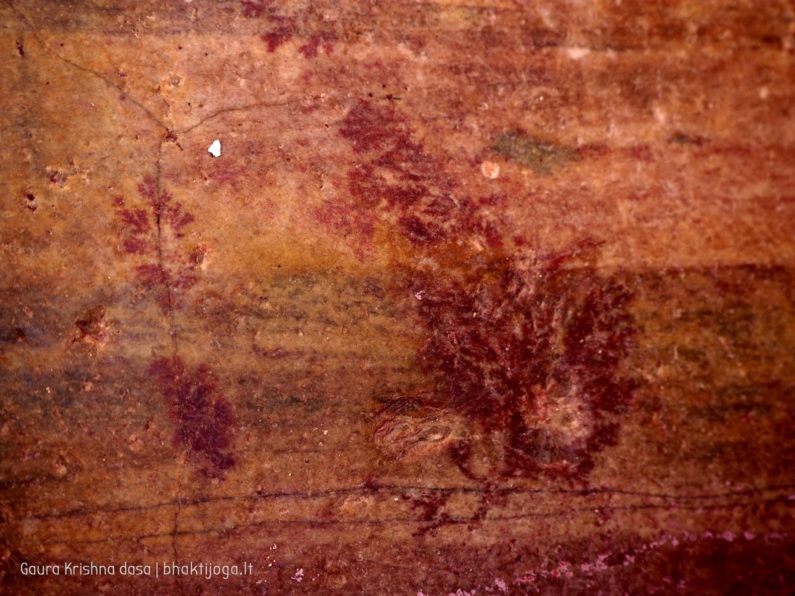  Varshana parikrama and preaching. 2019.12.10